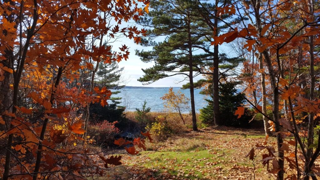 Uncovering the Real 1621 Thanksgiving